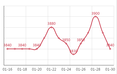 2021年1月30日Q195安平市场价